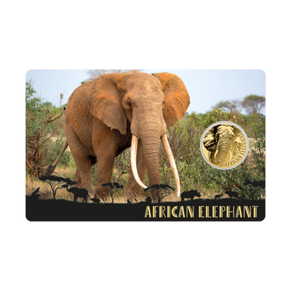 African Elephant Coin Card - Gold Gift