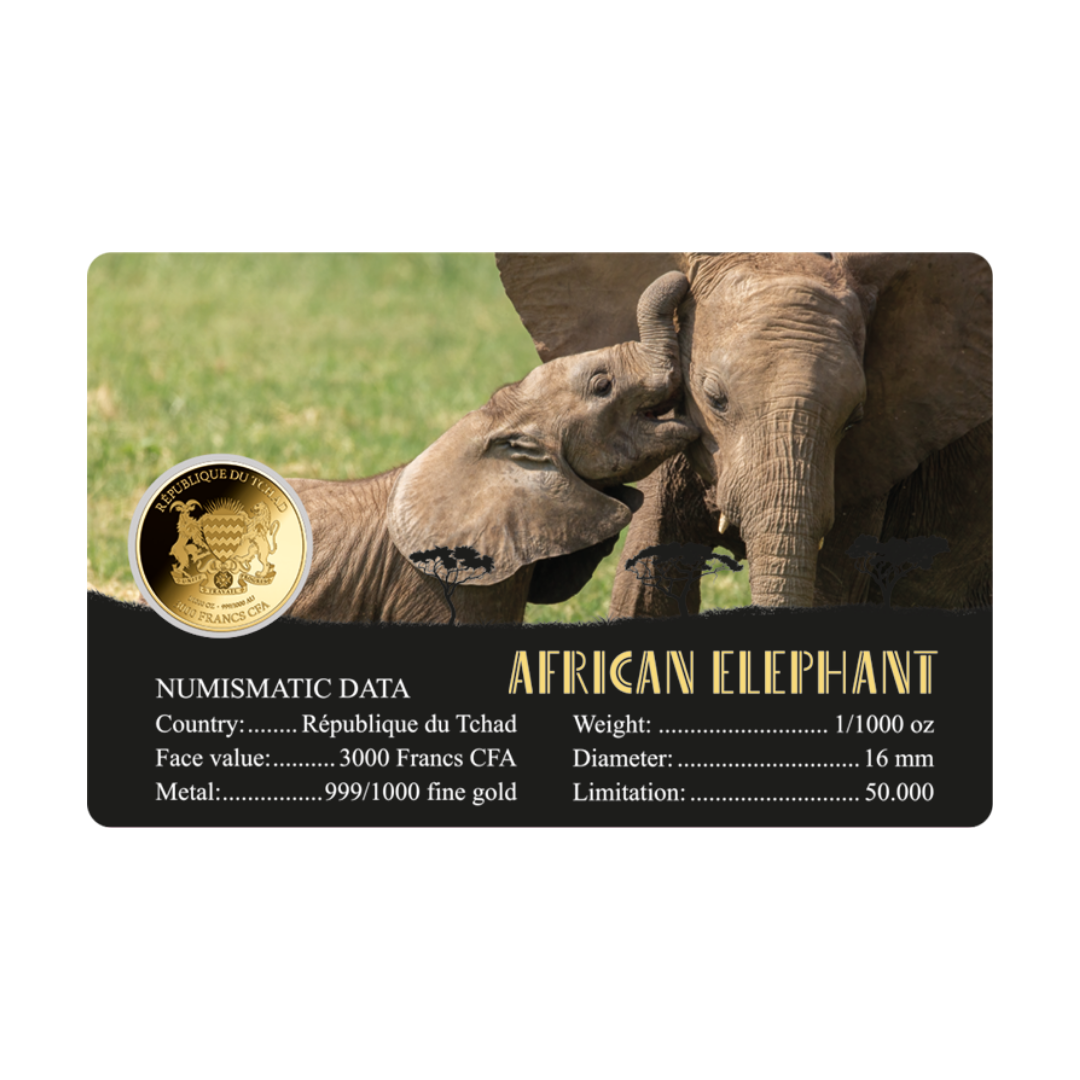 African Elephant Coin Card - Gold Gift