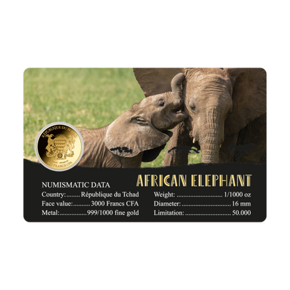 African Elephant Coin Card - Gold Gift