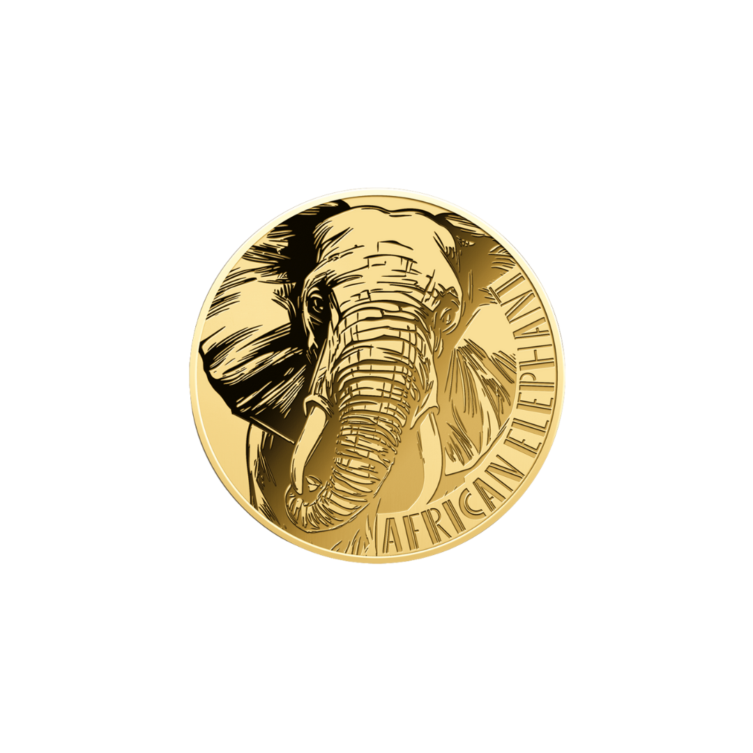 African Elephant Coin Card - Gold Gift