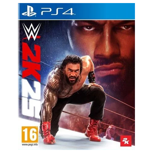 PS4 - WW2K25 (16) Preowned