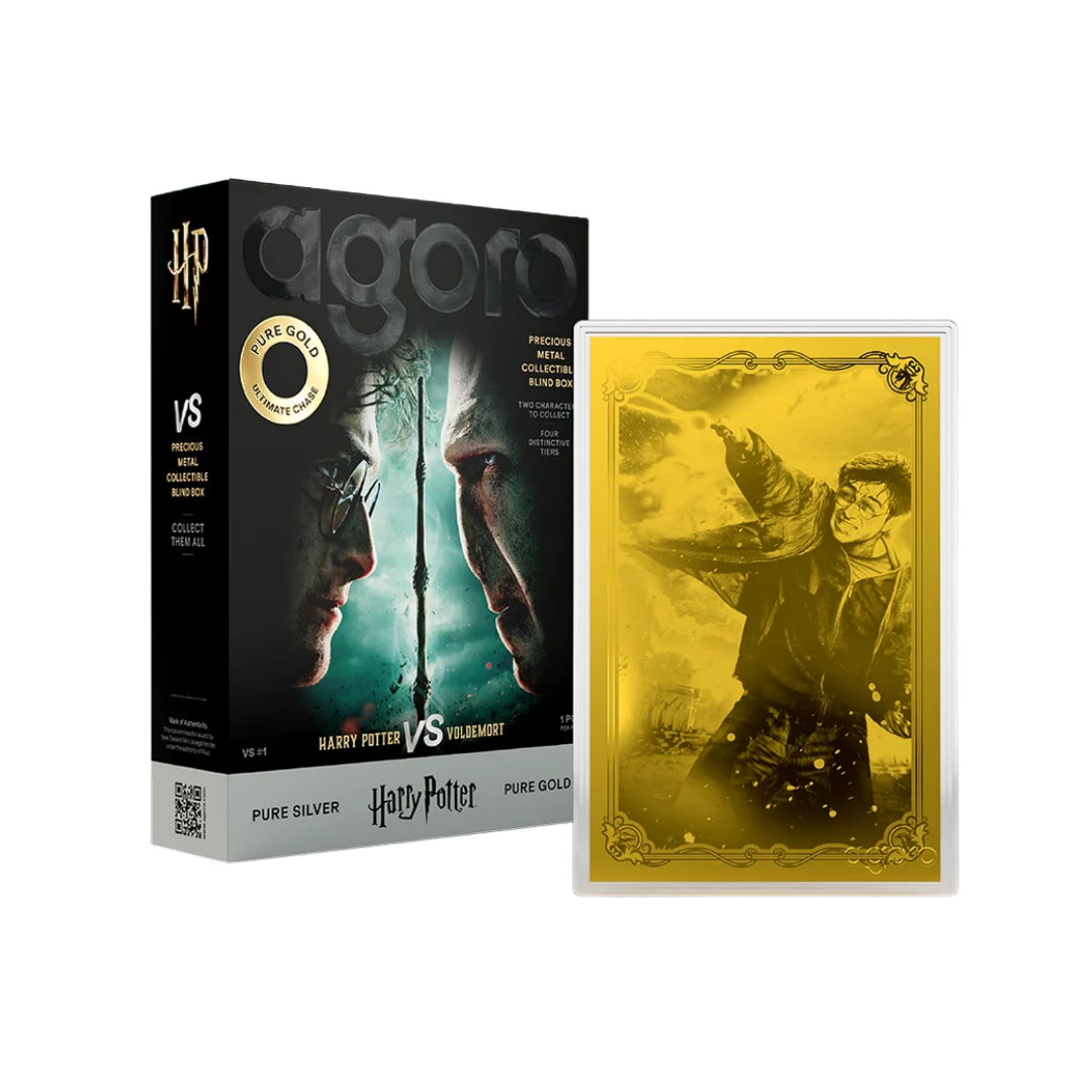 Harry Potter vs. Voldemort Blind Box 5g Silver Foil with Gold Chase