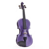 Harleyquin 4/4 Violin Deep Purple With Case Grade B Collection Only